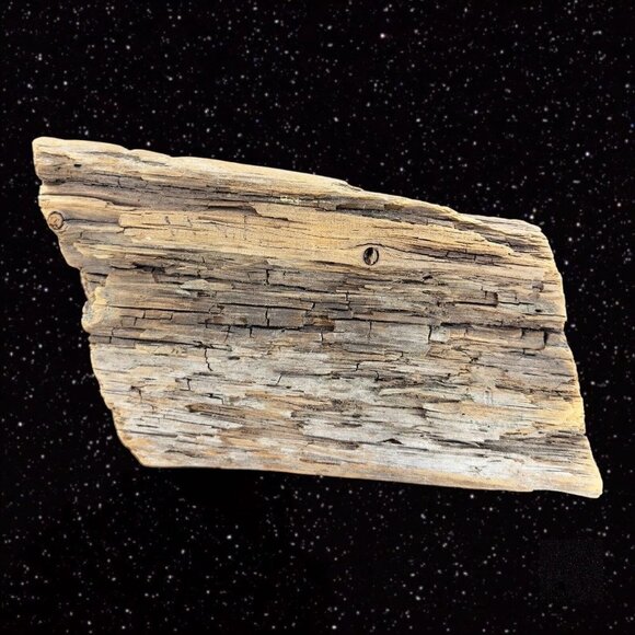 Vintage Carved Large Bird On A Driftwood Stand Signed Geo Porter Wis C420 Figure - Picture 6 of 14